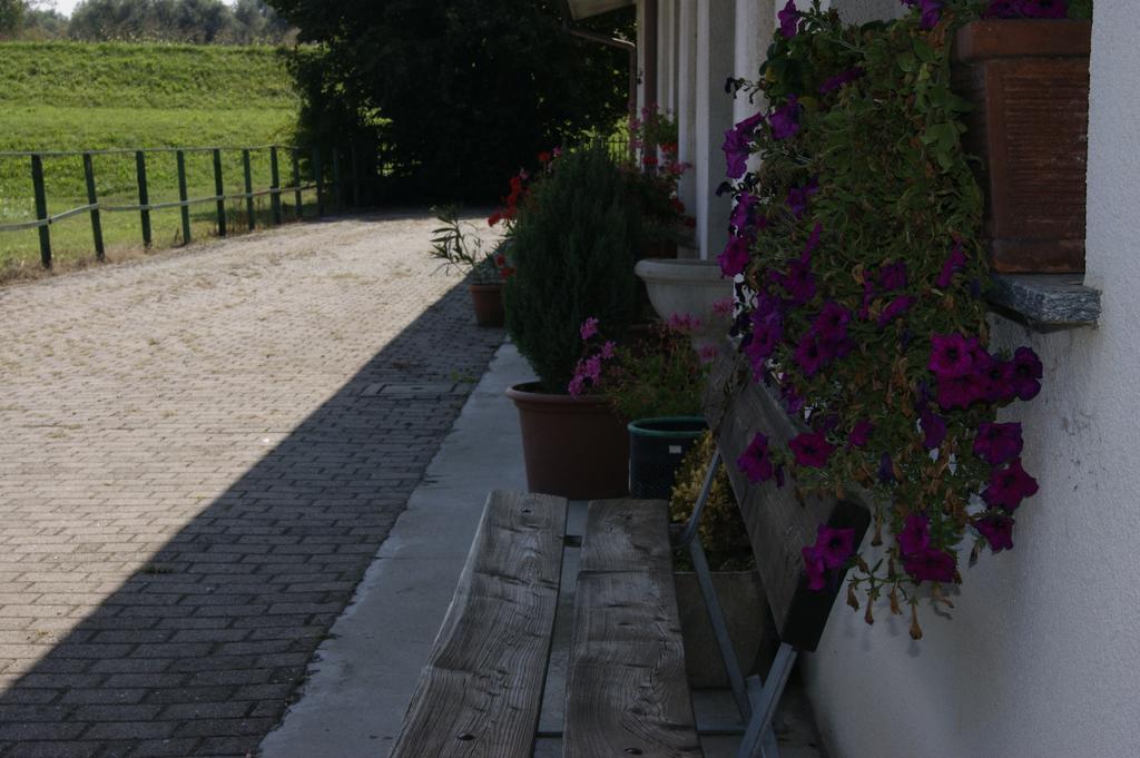 Agriturismo La Valbona San Martino Siccomario Exterior foto